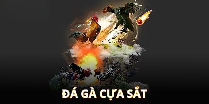 đá gà cựa sắt