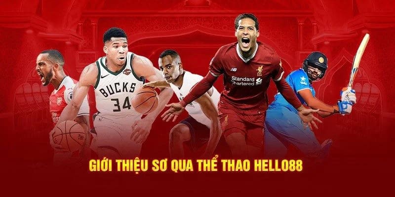 thể thao HELLO88